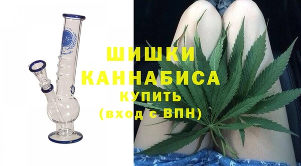 гидра Богородск