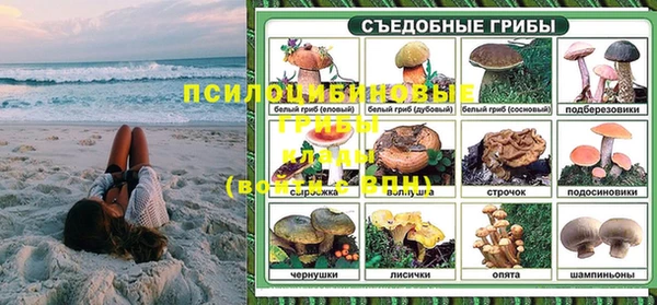 гидра Богородск