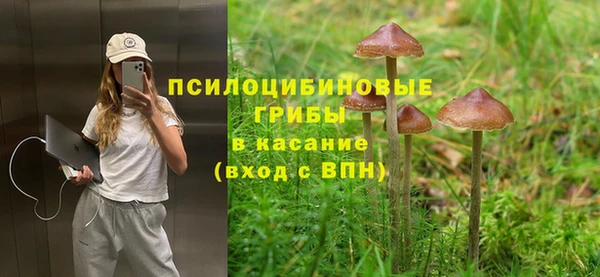гидра Богородск