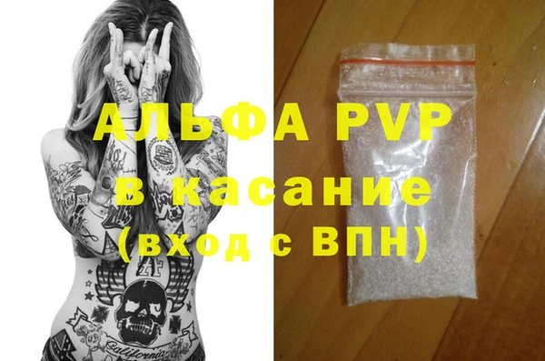 гидра Богородск