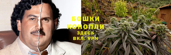 гидропоника Богданович