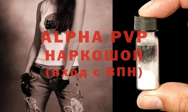 гидра Богородск