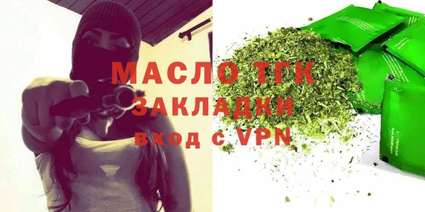 гидра Богородск
