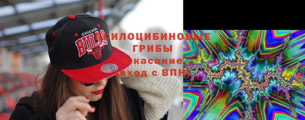 гидра Богородск