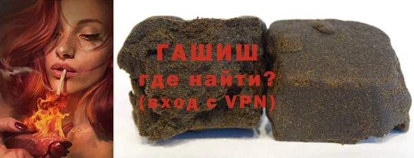 гидра Богородск