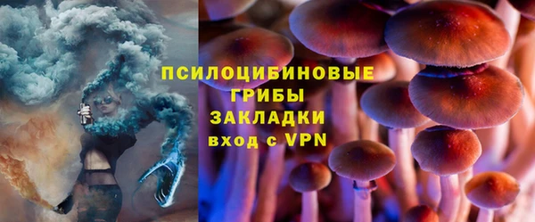 гидра Богородск