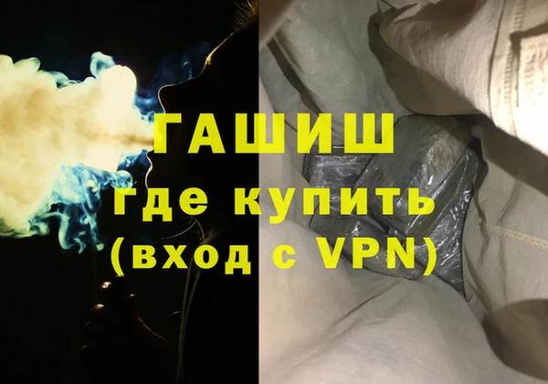 гидра Богородск